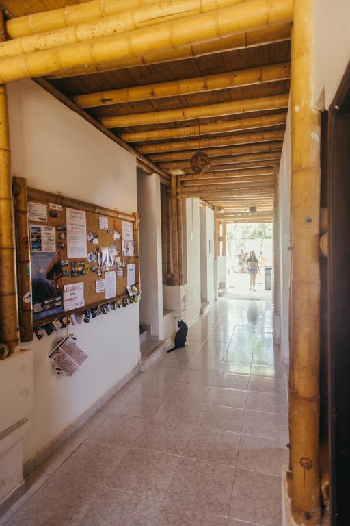 La Tortuga Hostel Taganga Kültér fotó